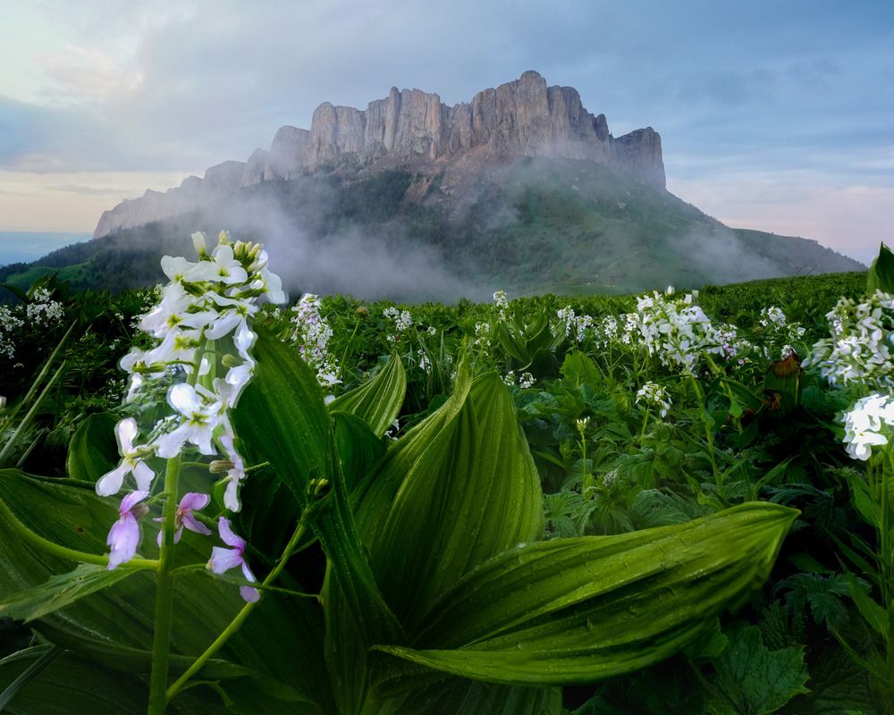 Фотография автора  Андрей