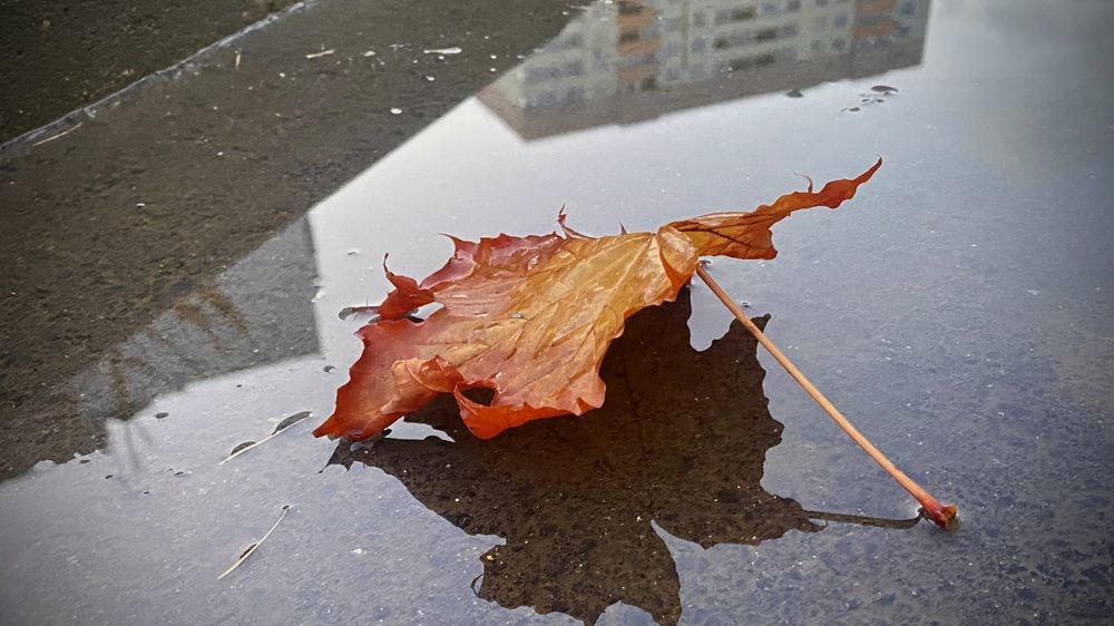 Photograph by Наталья Ситова