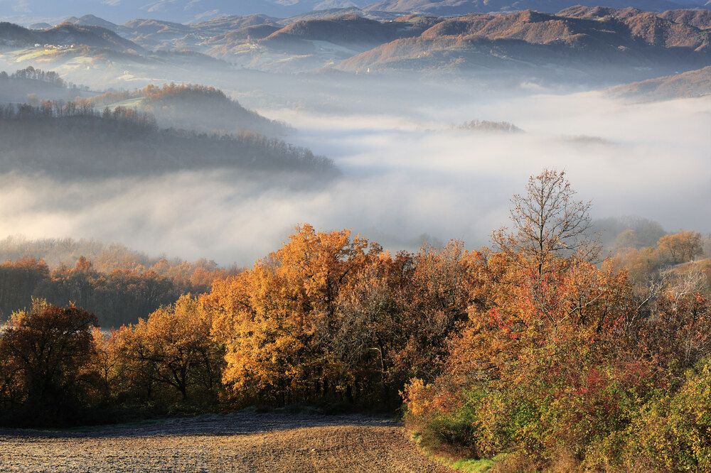 Photograph by Cristian Bertolini