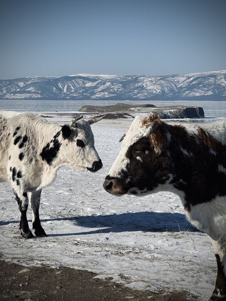 Photograph by Ксения Юртаева