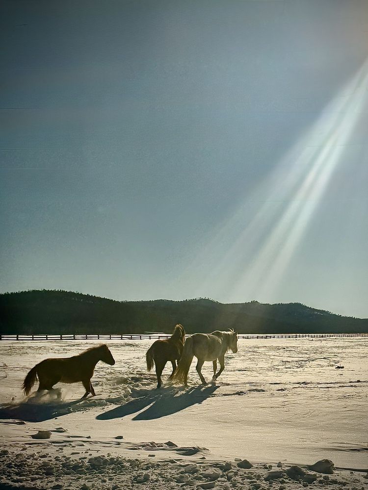 Photograph by Ксения Юртаева
