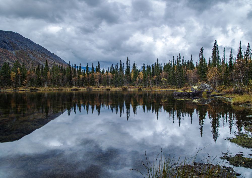 Photograph by Анна Бокова