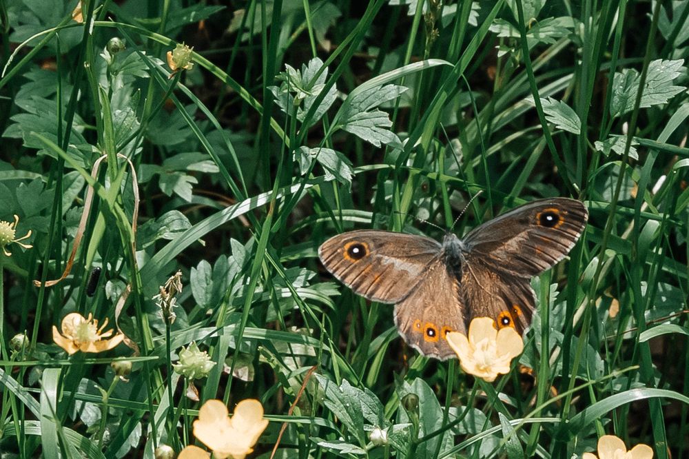 Photograph by Ольга Осинина