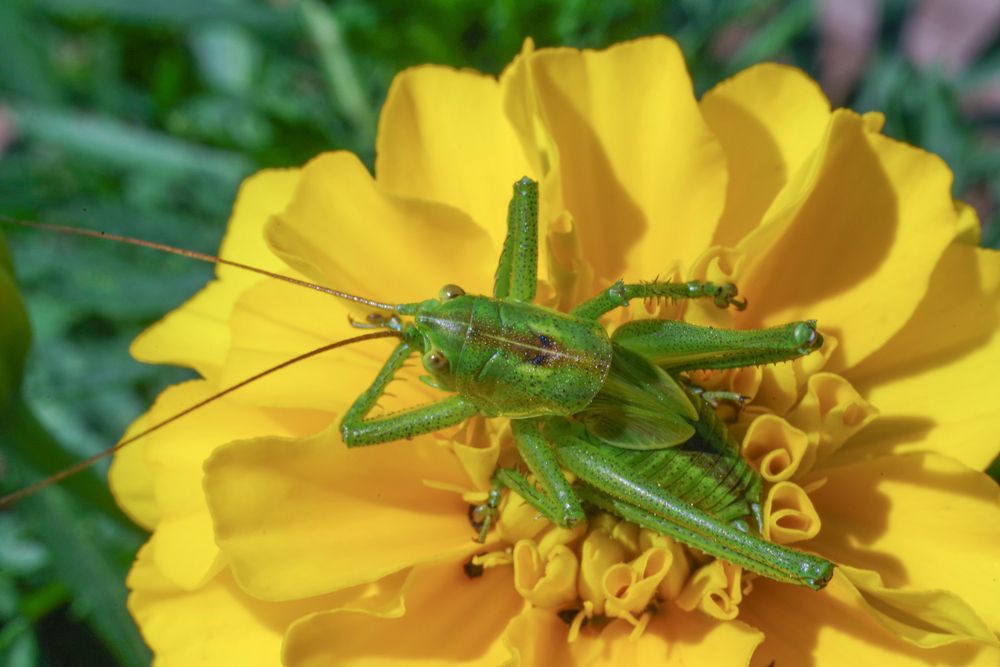 Photograph by Дмитрий Смирнов