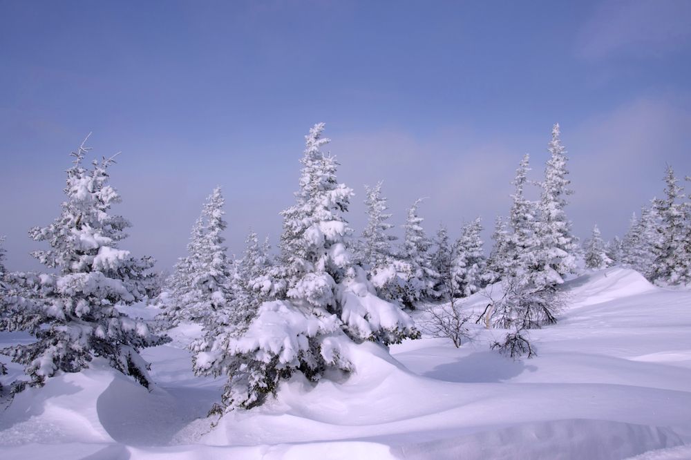 В горах после метели