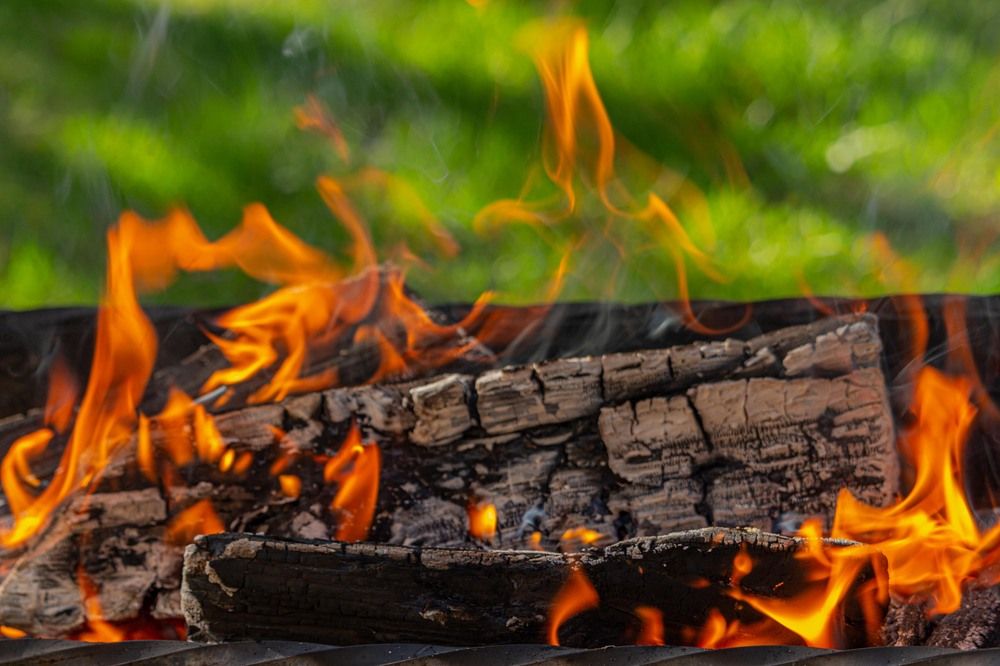 Фотография автора Александр Довганюк