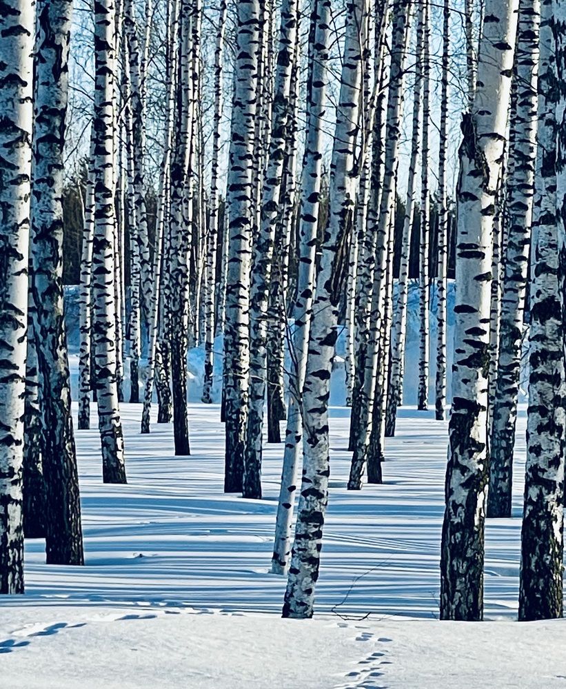 Photograph by Татьяна Мустафина