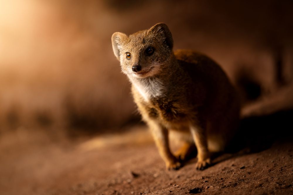 Фотография автора Klára Brůnová