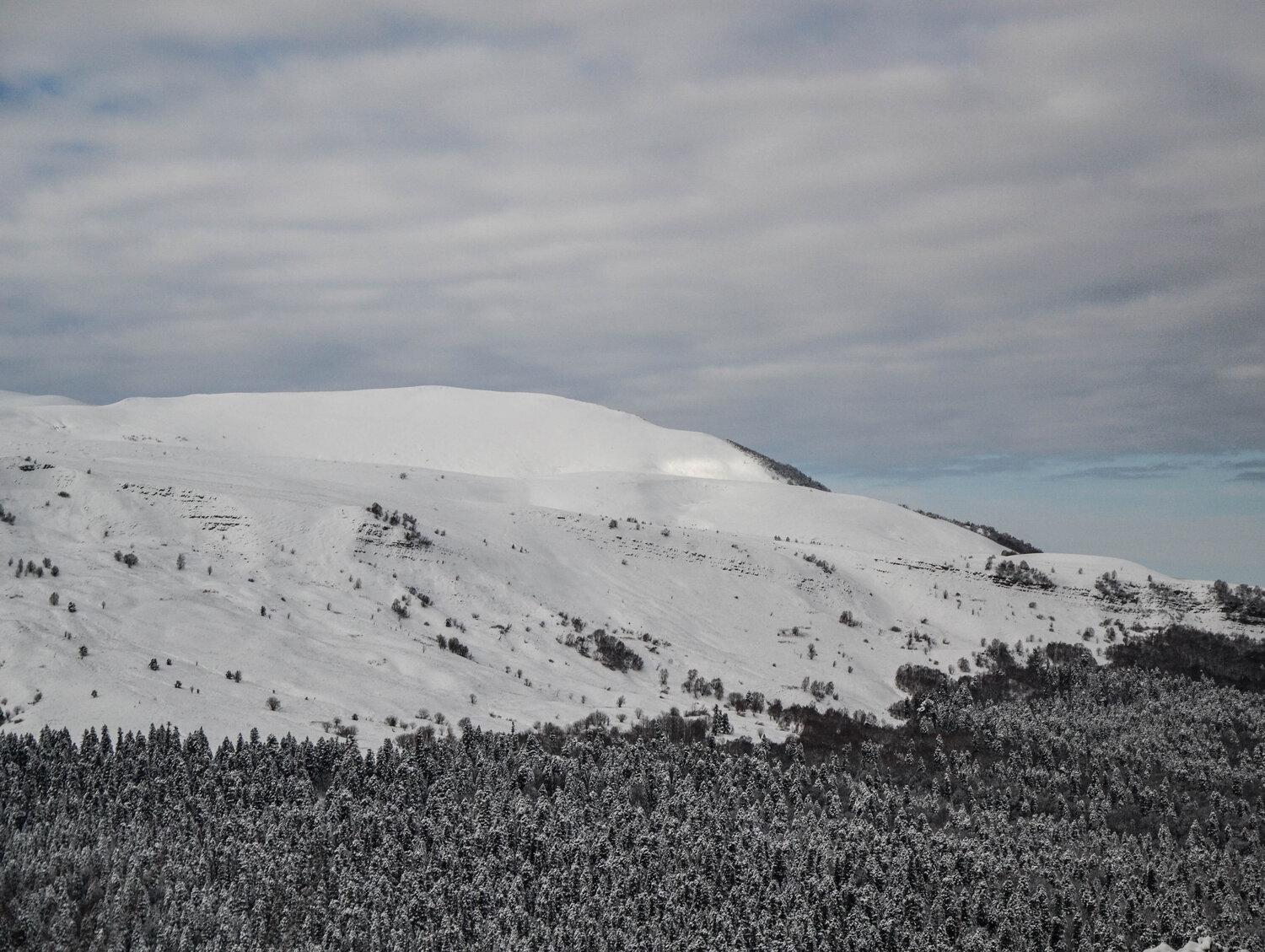 Photo #11988484