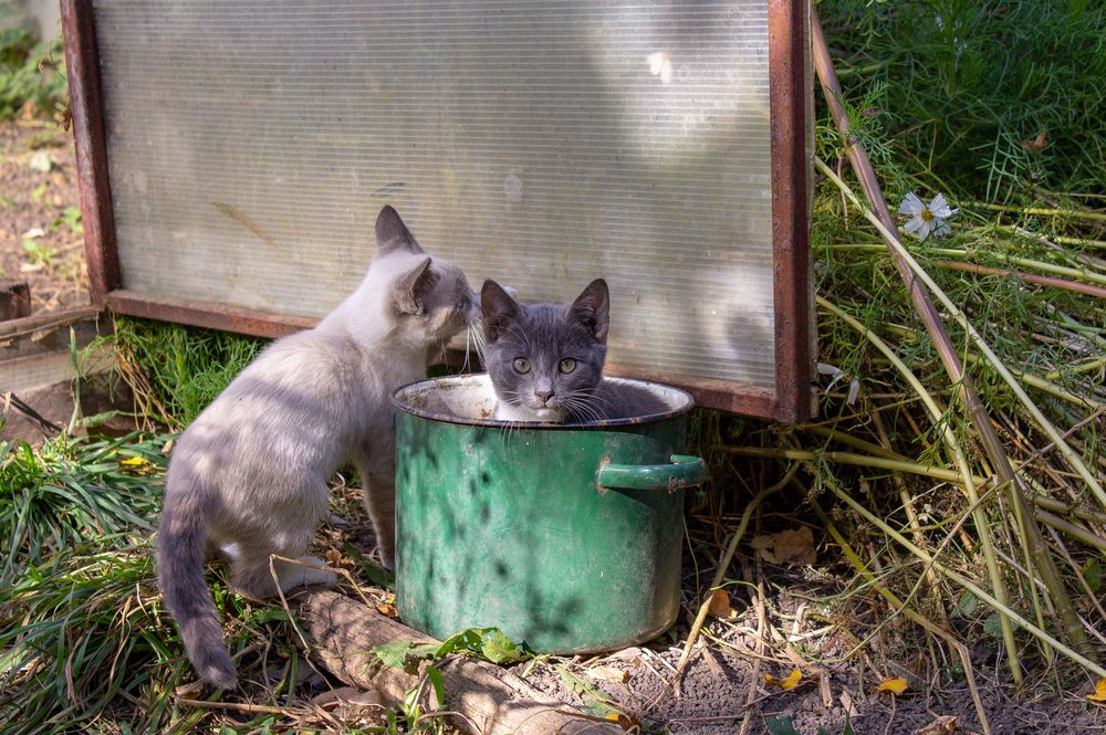 Photograph by Оксана Леонтьева