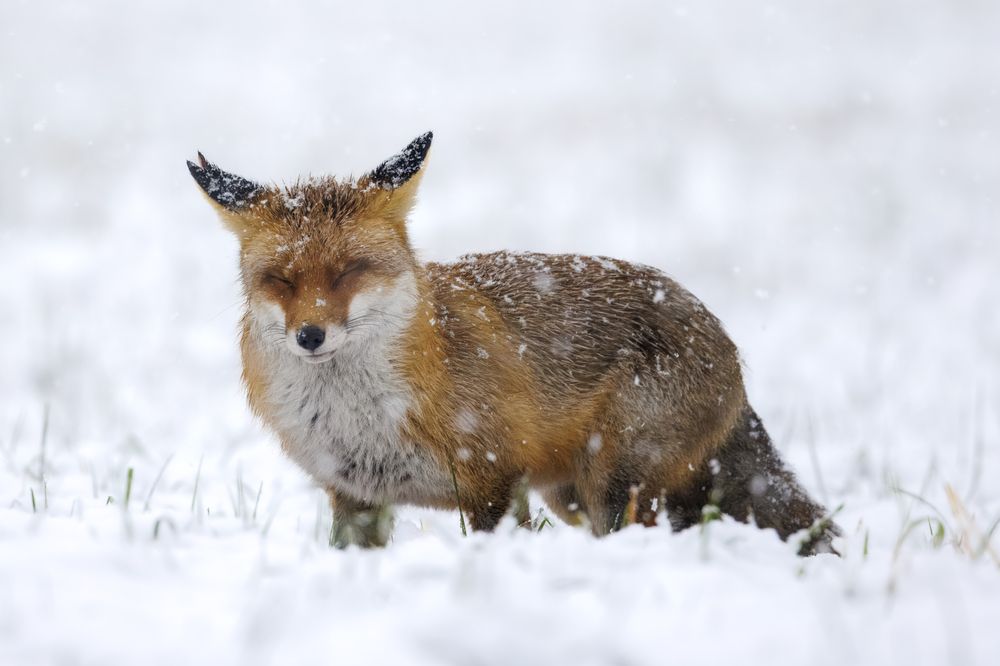 Photograph by Ellen Lichtenheldt