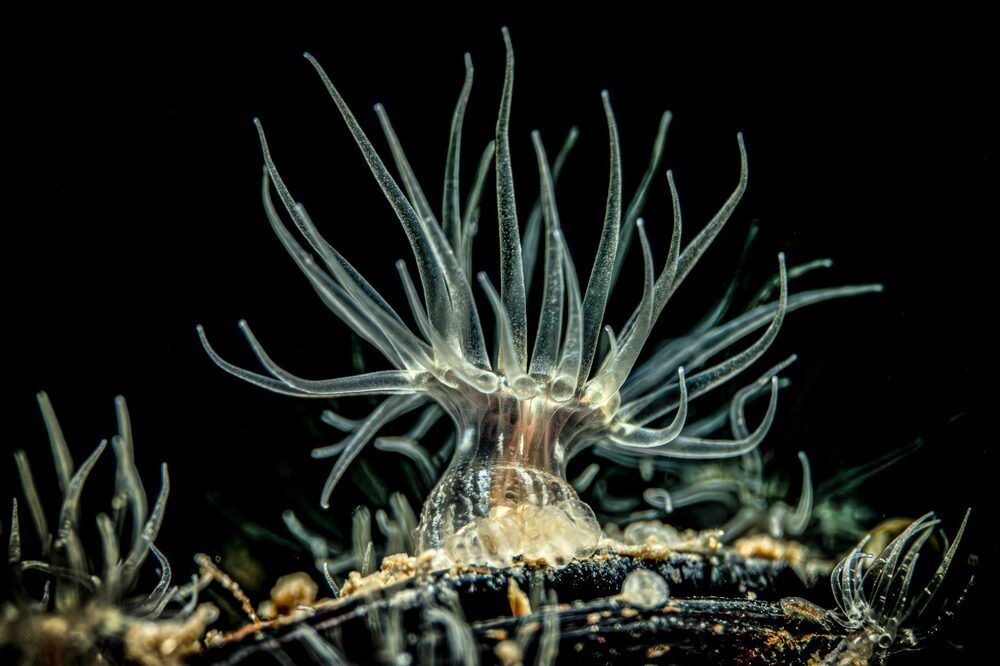 Photograph by Serdar AVCI