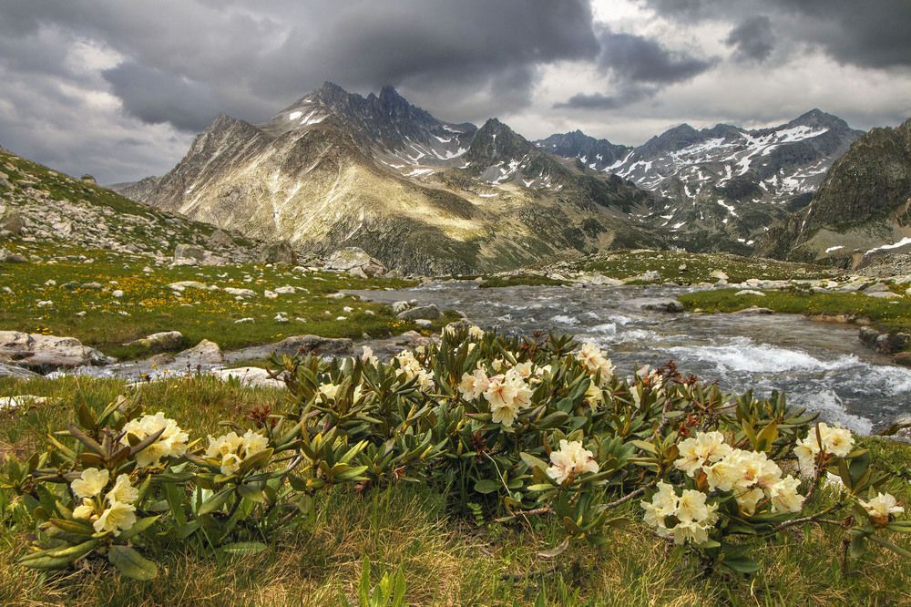 Photograph by Родион