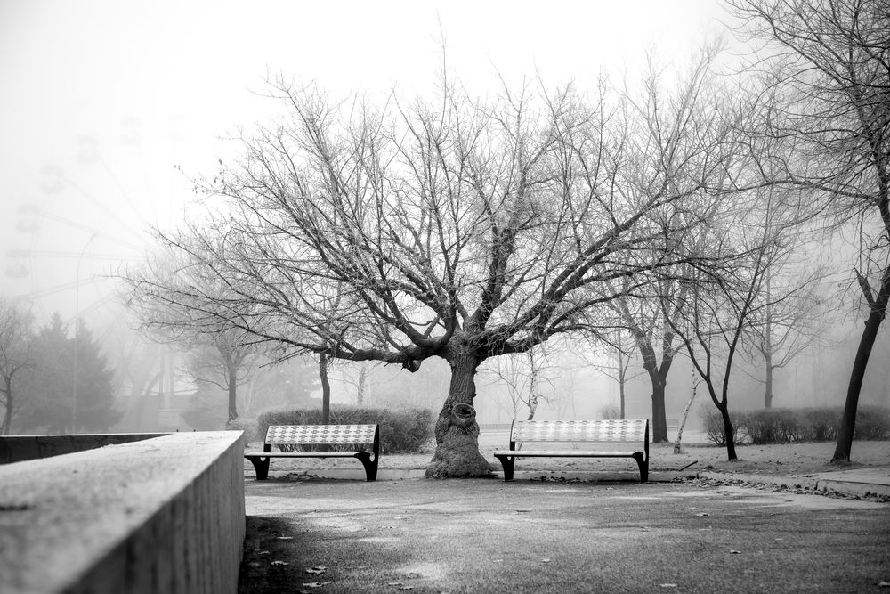 Photograph by Валерий Вторыгин