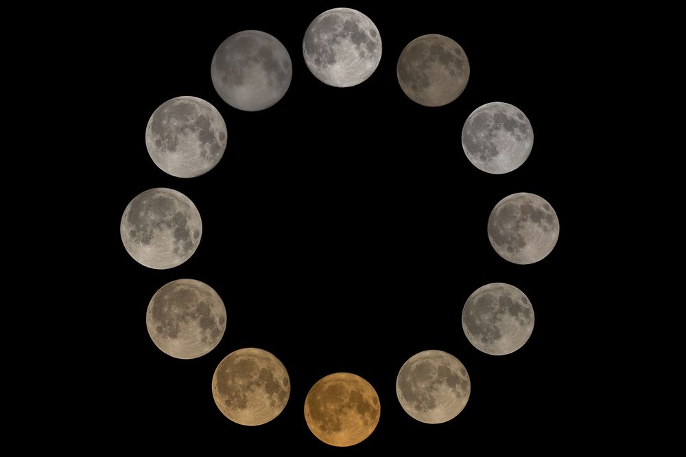 Все полнолуния 2024 года, снятые в одинаковых условиях