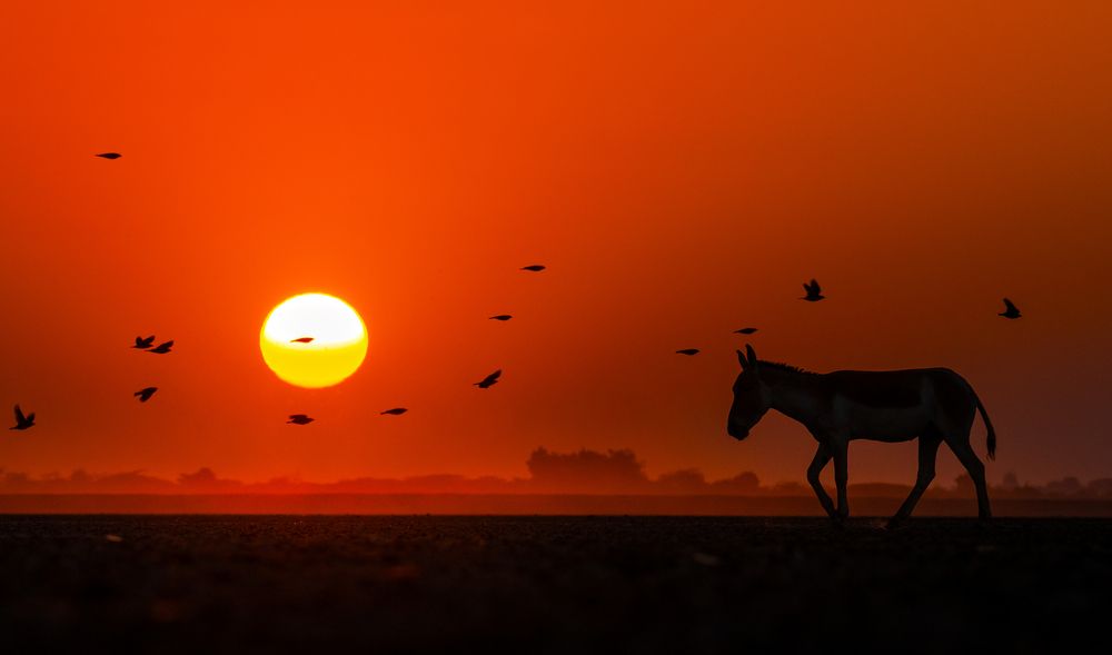 Photograph by Agnibho Saha