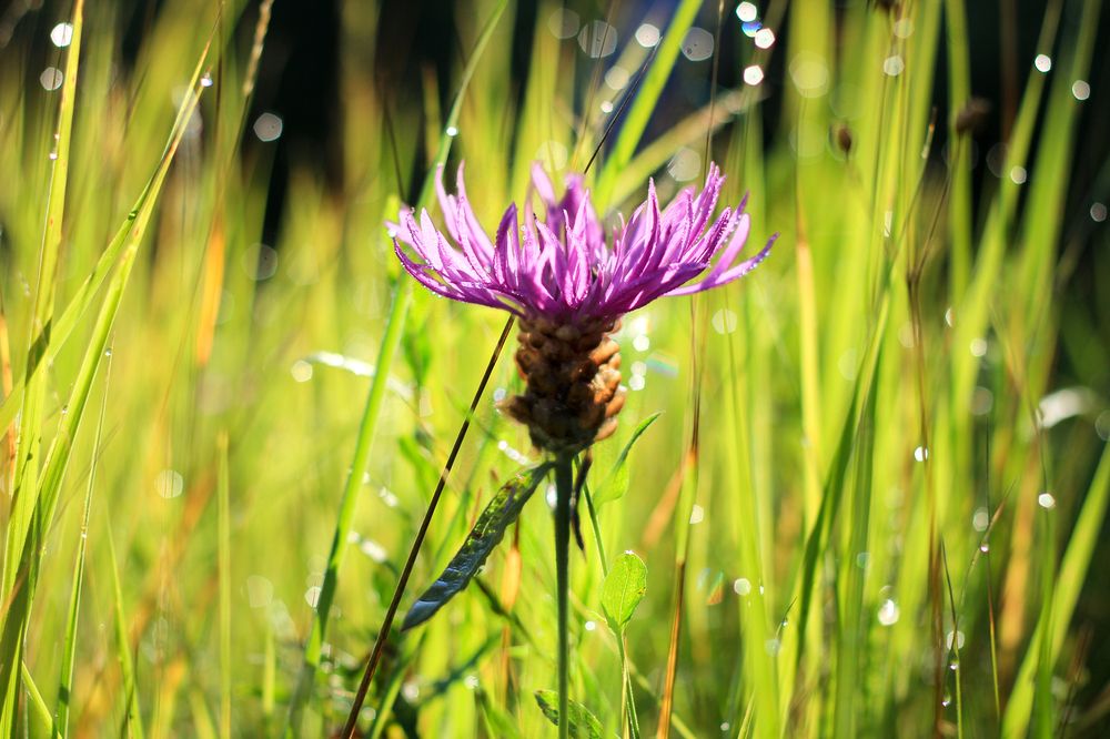 Photograph by Екатерина Пантелеева