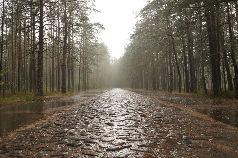 Photograph by Игорь Тамми