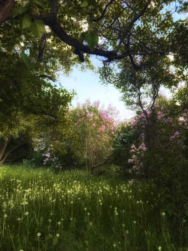 Photograph by Юлия Честнова