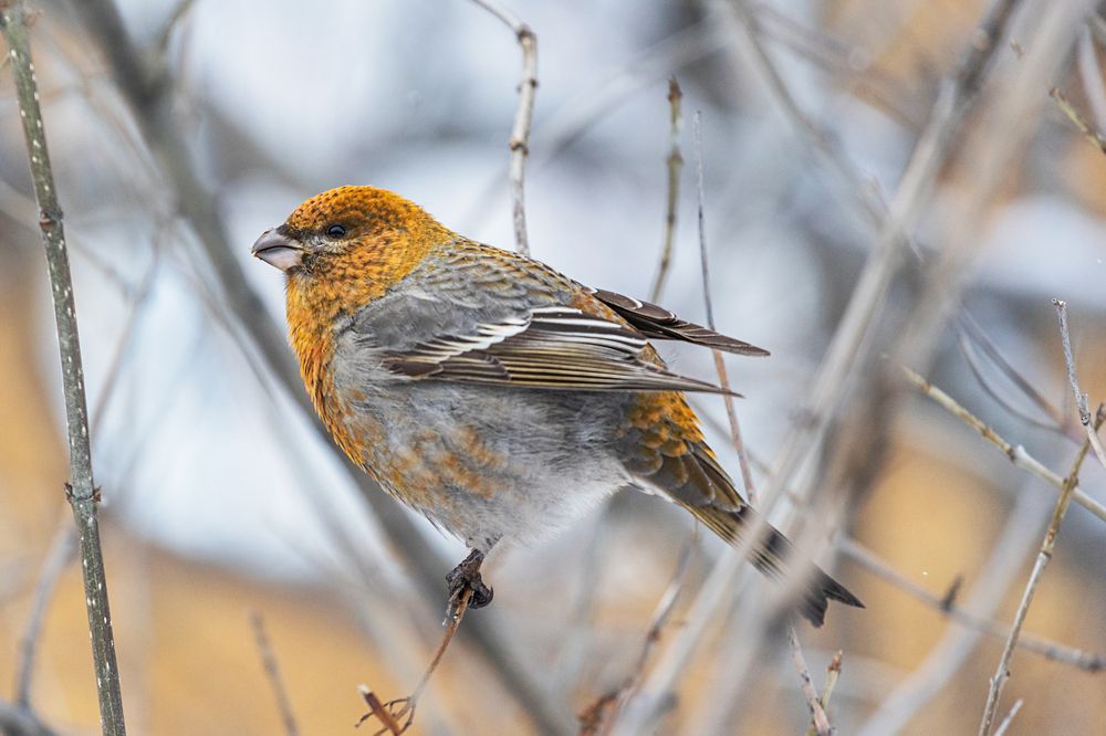Фотография автора Наталья Василькова