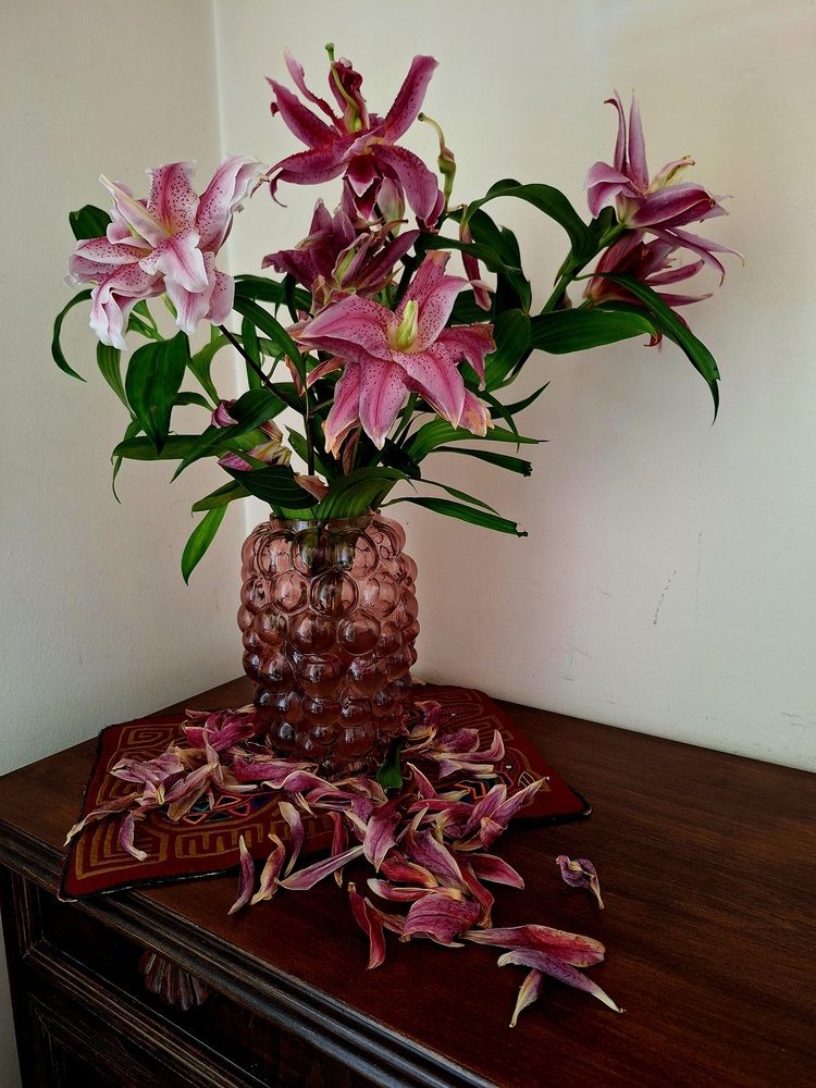 Photograph by Sonia Crotta