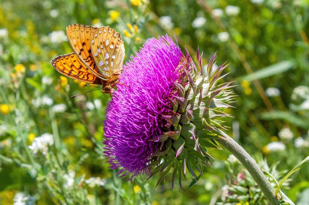 Photograph by Валерий Федяров