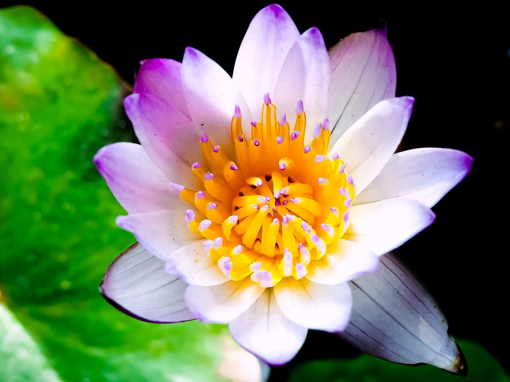 Photograph by WEONBAE PARK