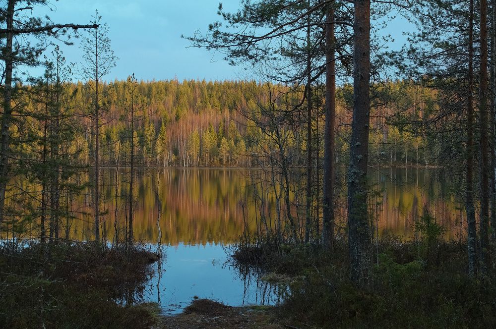 Photograph by Игорь Тамми