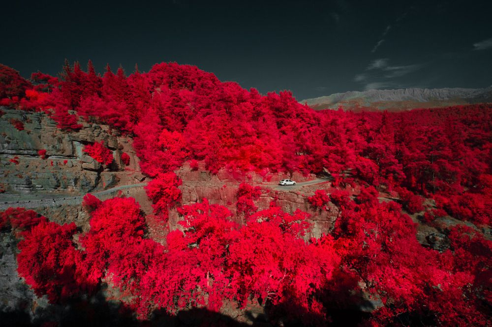 Photograph by Nikita