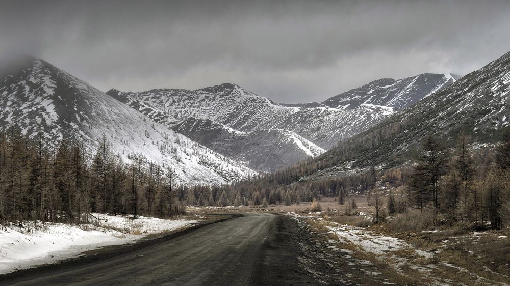 Photograph by Светлана Гореликова