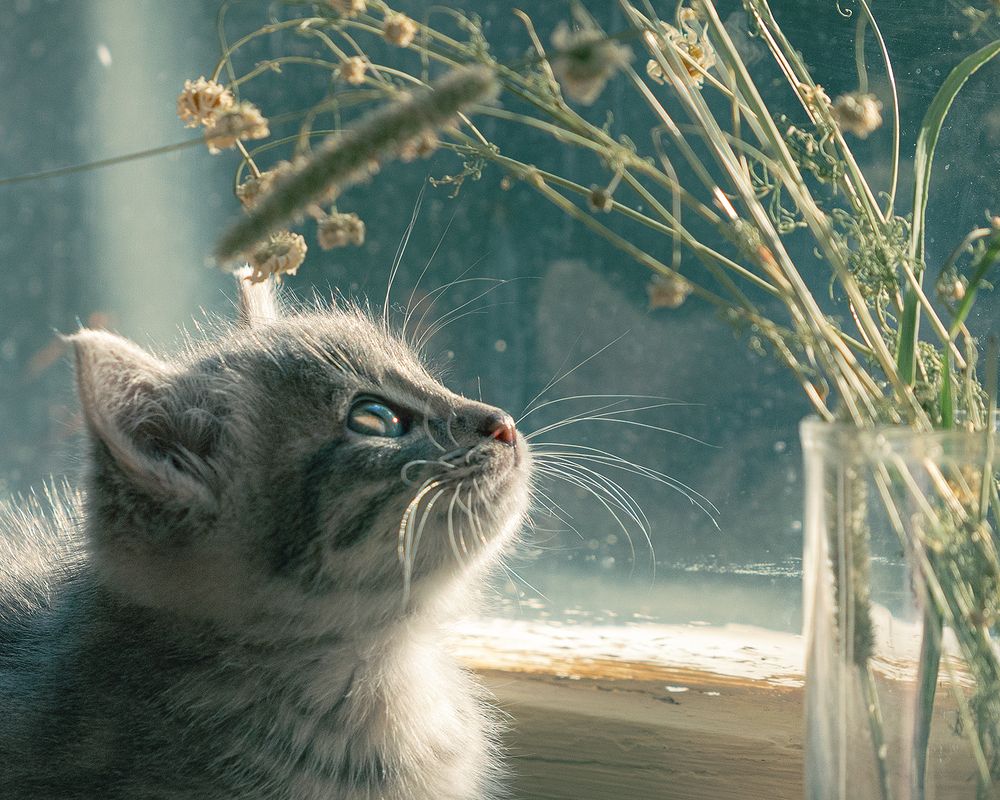 Фотография автора Черников Иван