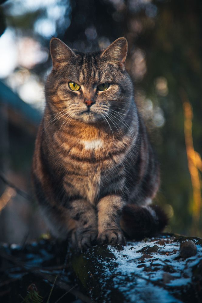 Photograph by Синицын Дмитрий