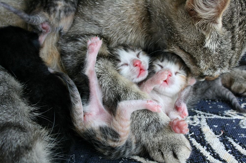 Photograph by Виктория