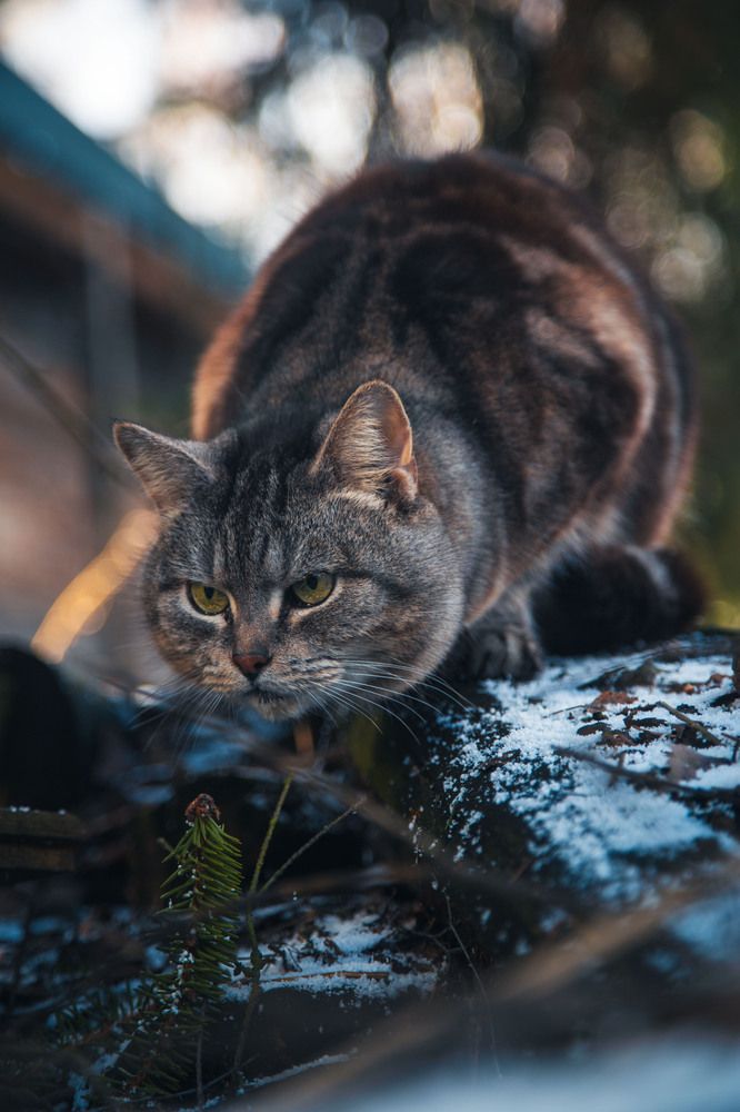 Photograph by Синицын Дмитрий