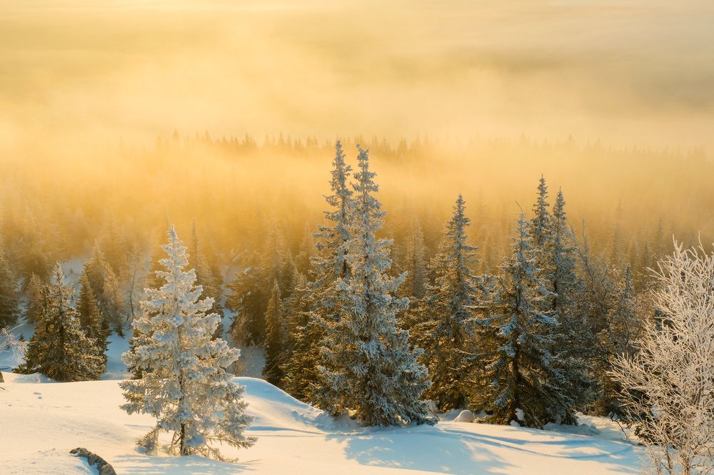 Photograph by Юсупов Александр