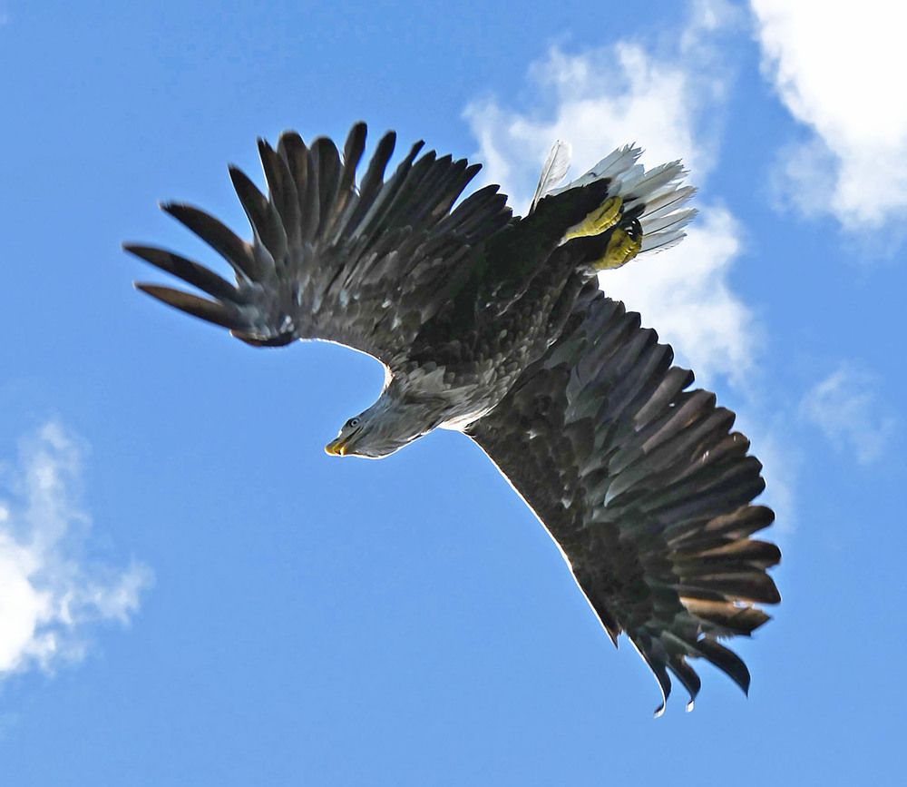 Photograph by Marjo Steffen