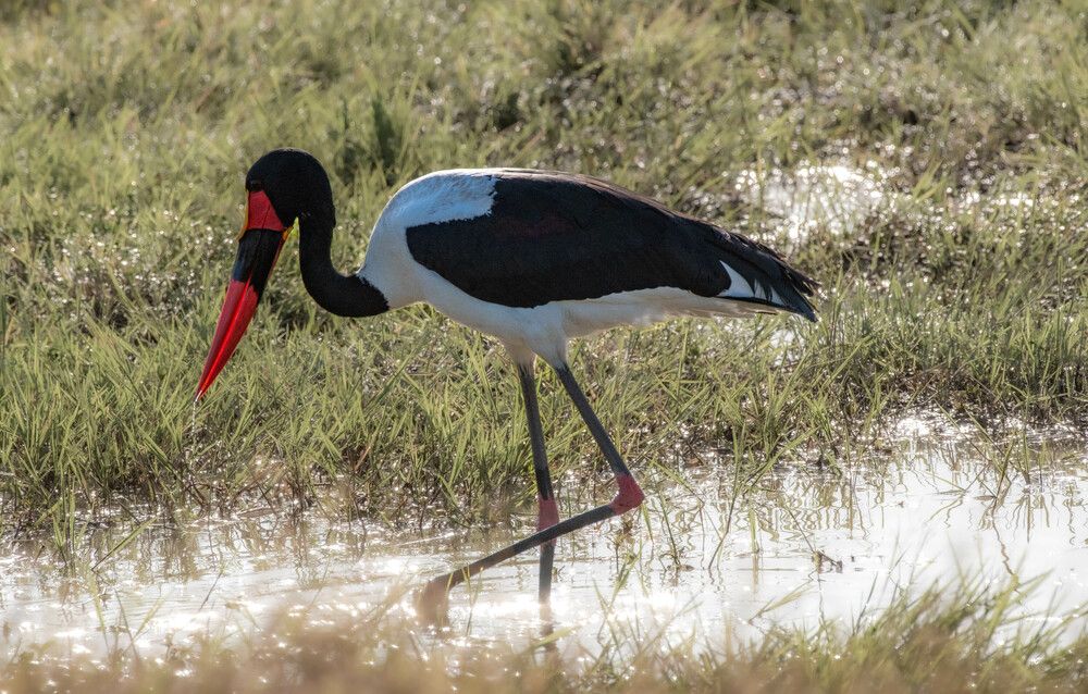 Photograph by Kevin kosgei