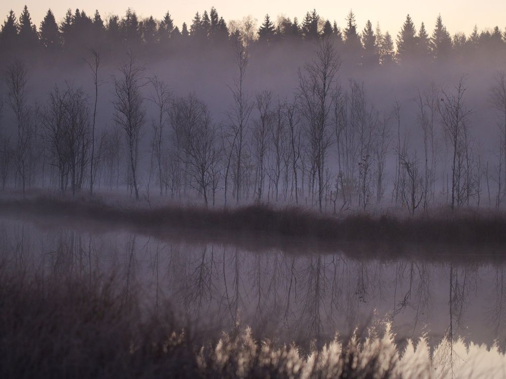 Photograph by Алексей Поляков