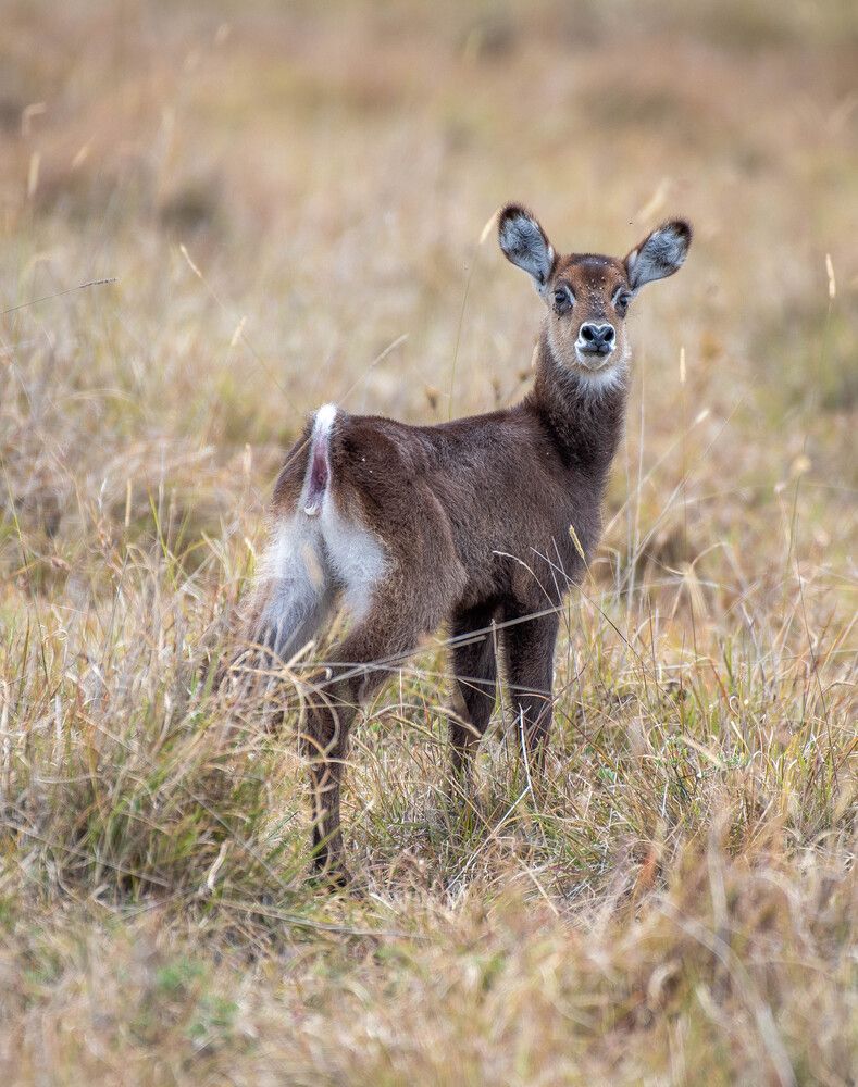 Photograph by Kevin kosgei