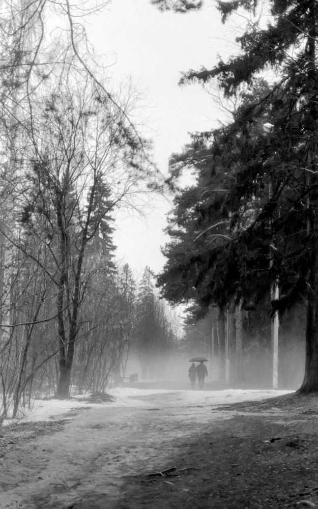 Холодный дождь