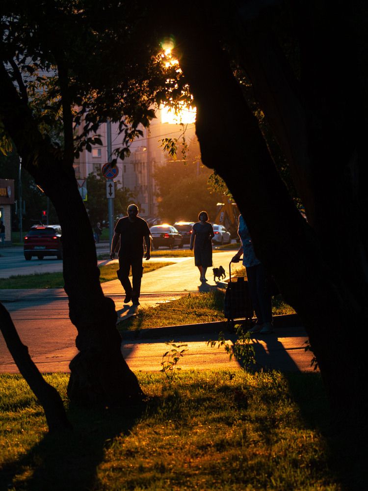 Photograph by Синицын Дмитрий