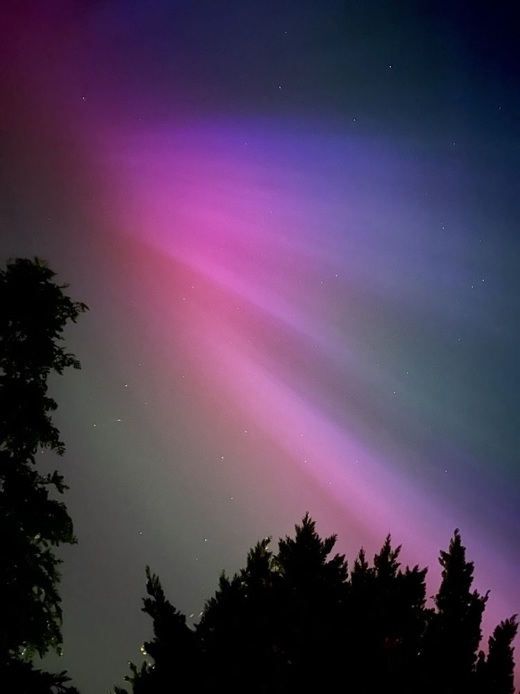 Colorful Northern Lights above the trees.