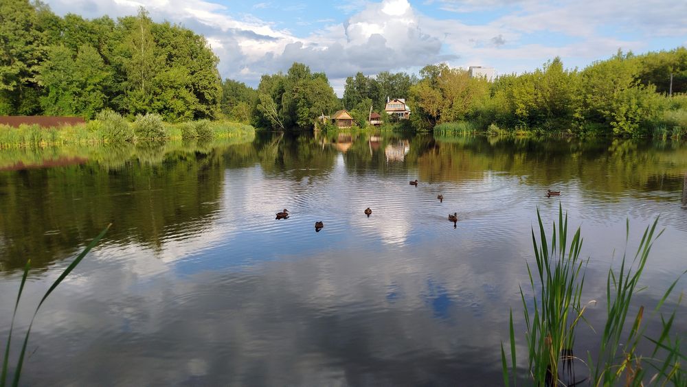 Ольговский пруд