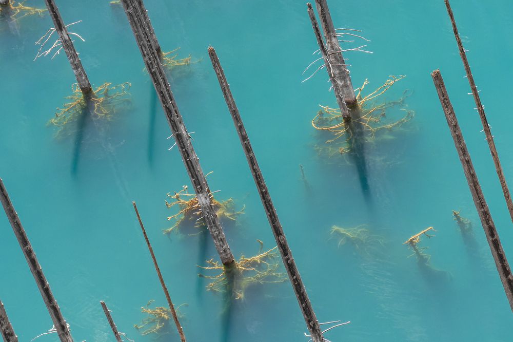 Photograph by Кирилл Савенко