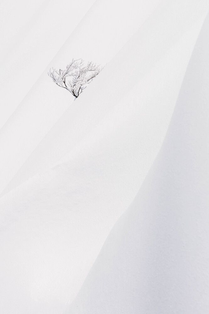 Фотография автора Ryo Takano