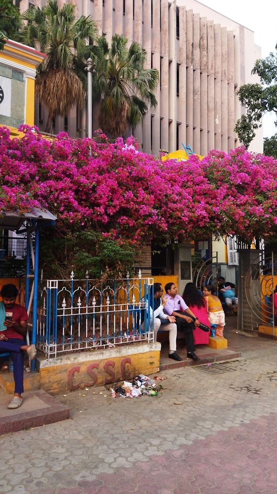 Photograph by Chandreyee Samaddar