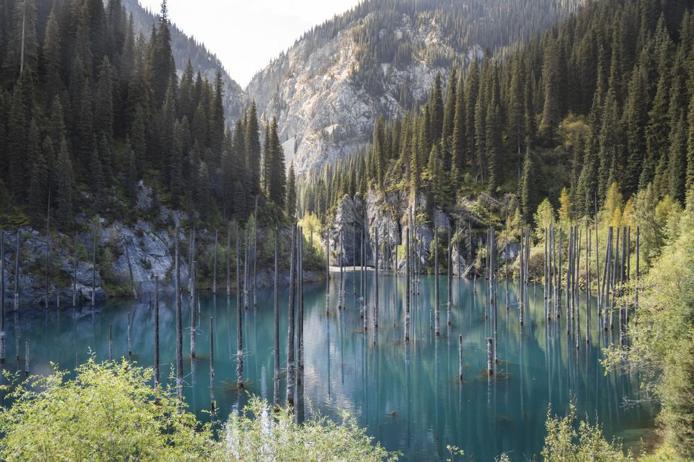 Photograph by Кирилл Савенко