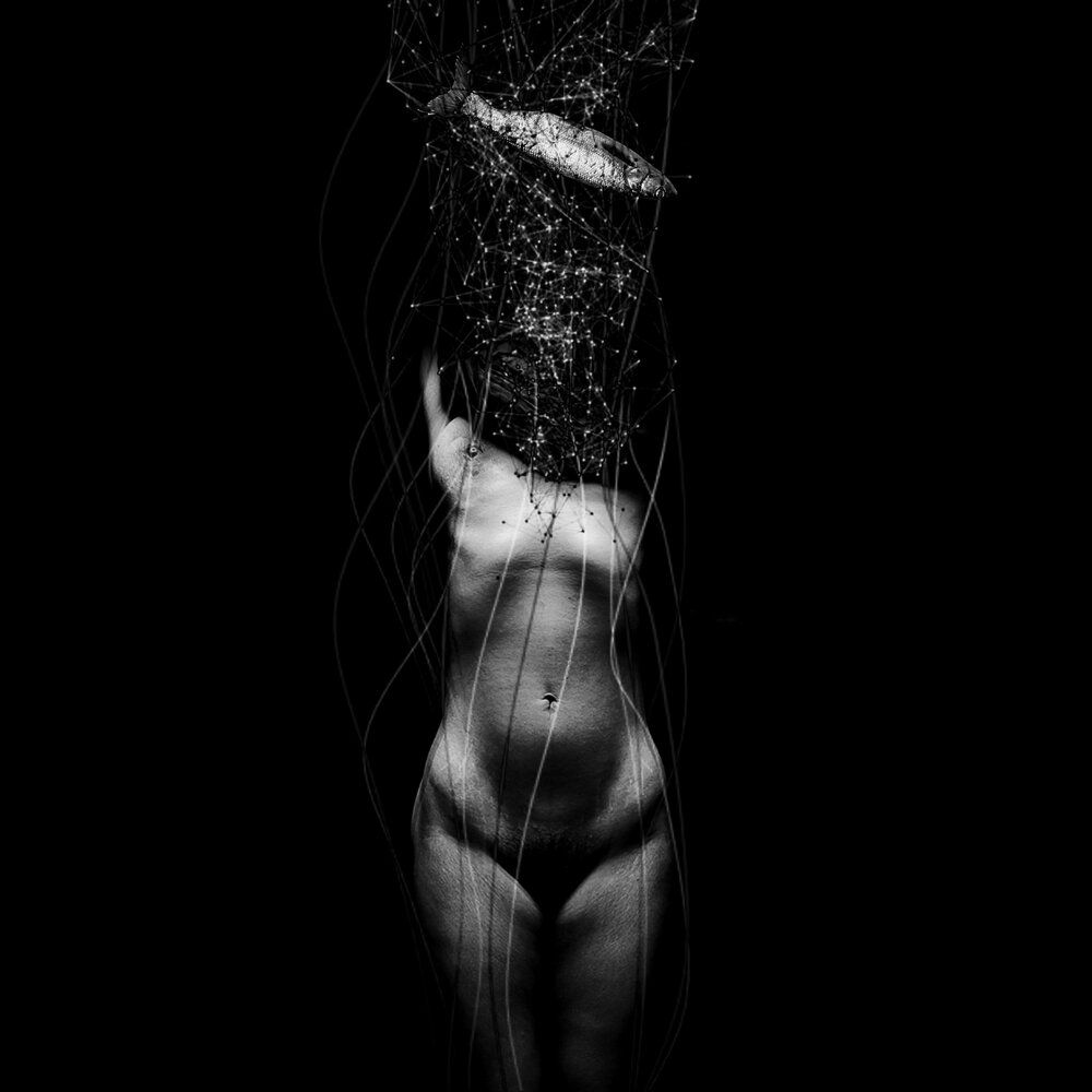 Photograph by Sizan Sizan7211