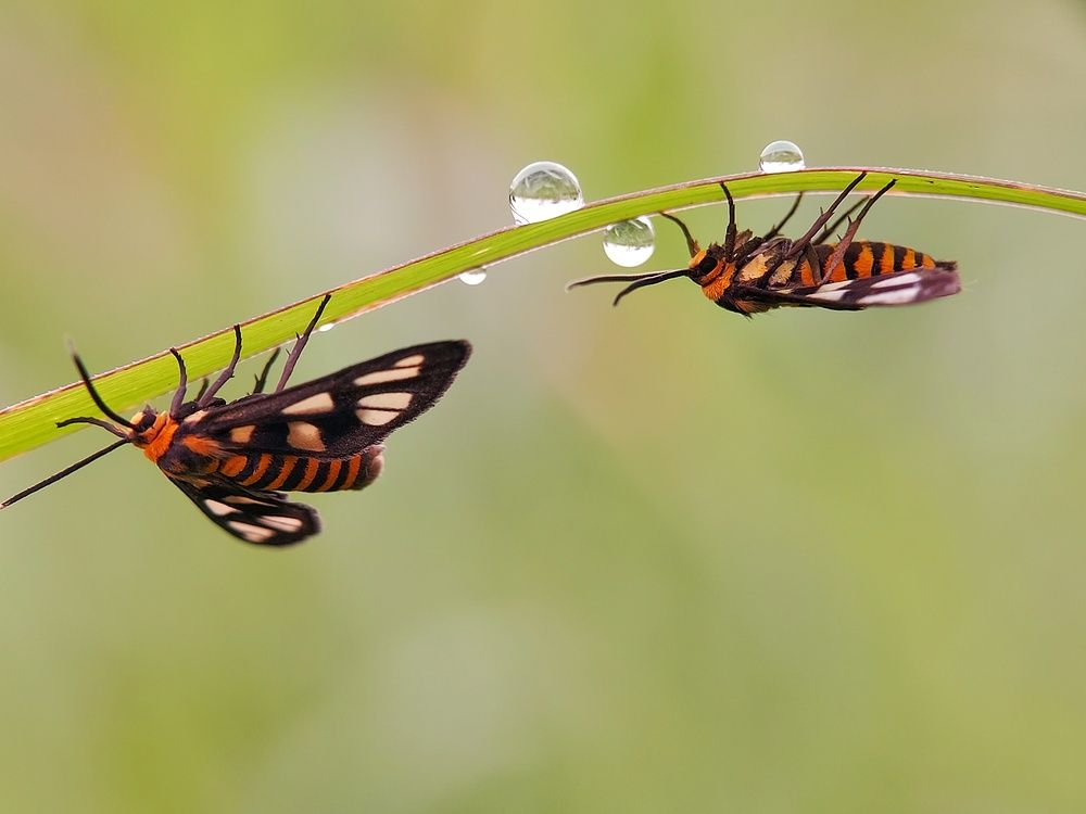 Photograph by Mimie Saari