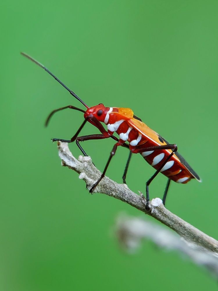 Photograph by Mimie Saari